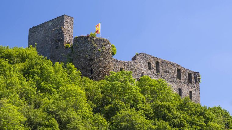 An old castle ruin stands on a green hill. The clear blue sky and the nature give the scene a picturesque charm.