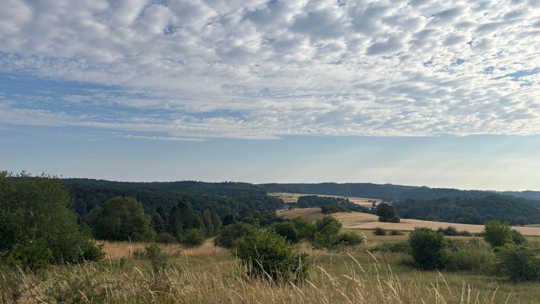 Un matin d'été tôt à Rohr