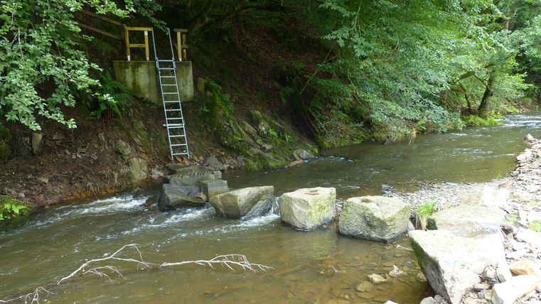 Marchepied au-dessus d'une rivière avec échelle sur la rive.