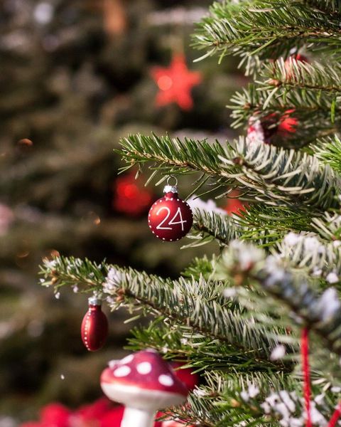 A festively decorated Christmas tree with red balls and a special ornament featuring the number 24. In the background, further decorative elements are visible.