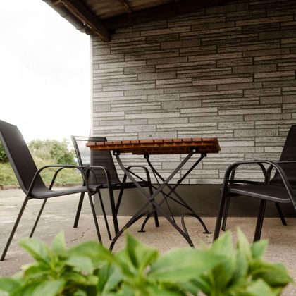 A cozy outdoor area with a table and chairs under a roof. In the foreground, fresh greenery is growing.