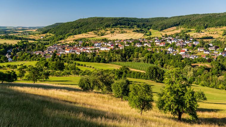 Paysage dans la vallée de la Prüm avec des champs de houblon et des prés-vergers près de Holsthum.