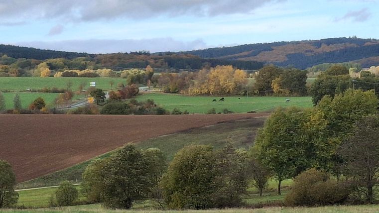 Een schilderachtig landschap met zachte heuvels en kleurrijk herfstbos. Op de voorgrond zijn bomen en landbouwgrond te zien.