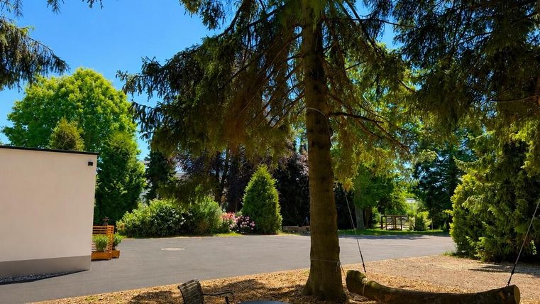 Een rustige tuin met hoge bomen en groen loof. Op de achtergrond is een geplaveide weg te zien.