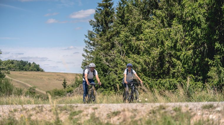 Twee fietsers op een pad in een groen landschap met bomen en een blauwe lucht.