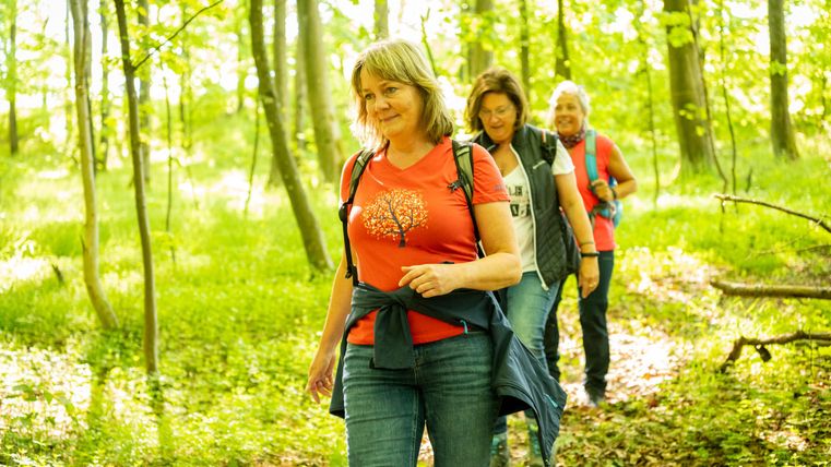 A group of women is hiking along a narrow path through a green forest. The sun is shining through the trees, creating a warm, inviting atmosphere.