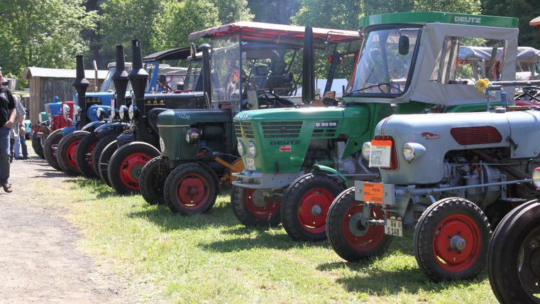 Eine Reihe von Traktoren steht auf einer Wiese. Im Hintergrund sind Bäume und ein weiterer Schuppen zu sehen.