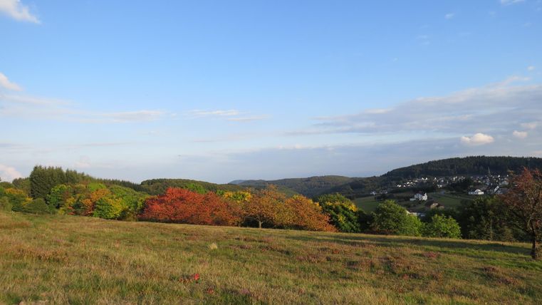 Landschaft mit Wiesen, Bäumen in Herbstfarben und einem Dorf im Hintergrund unter blauem Himmel.