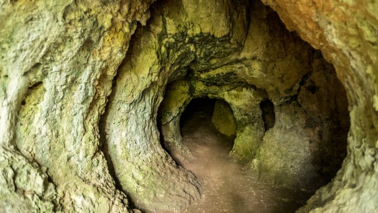 Ingang naar een natuurlijke grot met ongelijke wanden en een donkere tunnel.