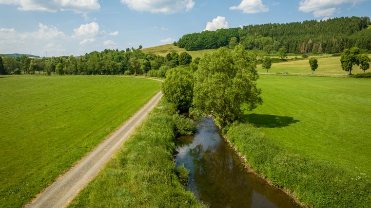 Landscape with river, country lane and green meadows under a blue sky.