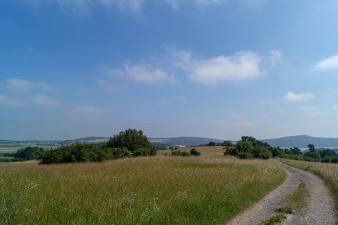 Un chemin traverse une prairie verte avec des arbres en arrière-plan sous un ciel bleu.