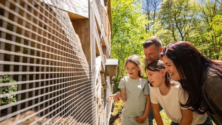 A family is enthusiastically watching animals behind a fence. It is a sunny day and the nature around them is green and inviting.