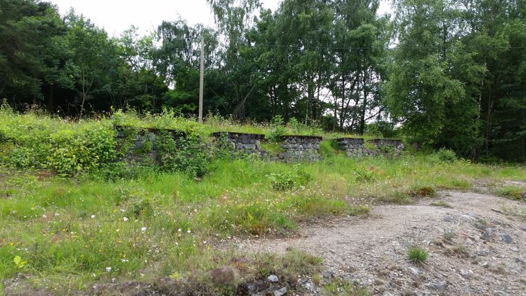 An abandoned stone wall, overgrown with grass and plants. Trees and a cloudy sky are visible in the background.