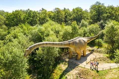 Große Dinosaurier-Nachbildung eines Langhals-Dinos steht in einem Waldgebiet. Der Dino ist beige mit dunklen Streifen und ragt mit seinem Hals in die Baumkronen. Unten auf dem Weg steht eine Familie mit Kindern und betrachtet die Figur. 