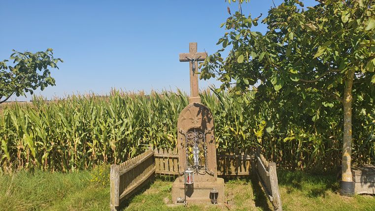 Stenen kruis met een Jezusfiguur voor een maïsveld, omringd door bomen en een houten hek.