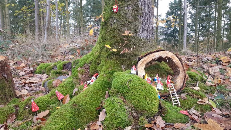 Eine fantasievolle Szene im Wald mit einer Baumstumpf und Moos. Kleine Figuren und eine Leiter sind um den Baum platziert.
