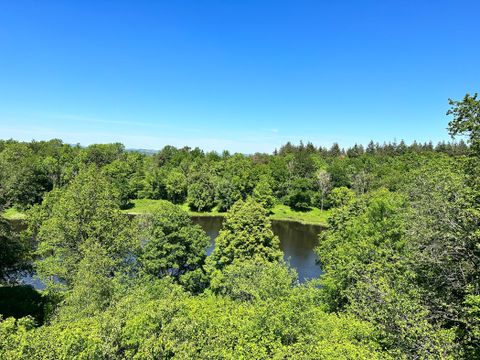 Blick auf einen Kratersee umgeben von dichtem Wald unter klarem blauem Himmel.