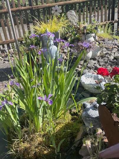 Un jardin fleuri avec des fleurs violettes et de l'herbe verte. En arrière-plan, plusieurs objets décoratifs et des fleurs colorées sont visibles.