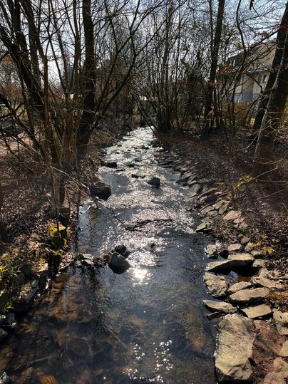 Een rustige stroom stroomt tussen bomen en stenen. De zon weerspiegelt zich in het water en creëert een vredige sfeer.