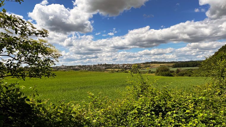 Landschaft mit grünen Feldern und bewölktem Himmel.