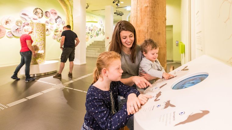 Eine Mutter mit ihren zwei Kindern erkundet interaktive Stationen in einem Museum. Im Hintergrund sind weitere Besucher zu sehen.