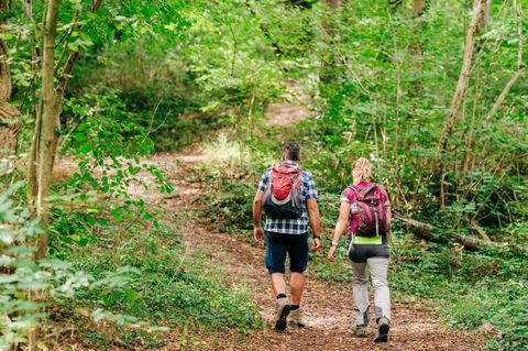 Zwei Menschen die im Wald spazieren gehen