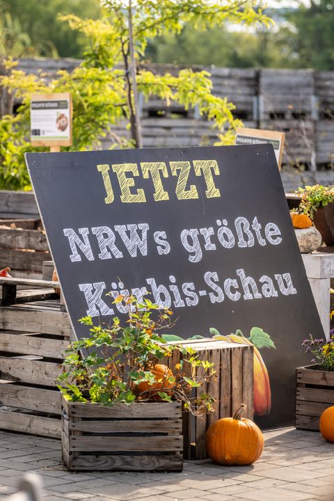 Advertising sign for the pumpkin exhibition in the entrance area of Krewelshof