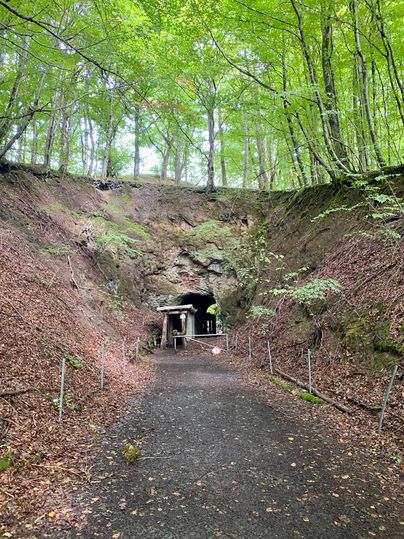 Entrance to a tunnel in the Arensberg volcanic quarry, surrounded by rocks and trees.