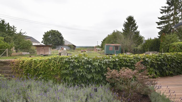 Eine ruhige Gartenlandschaft mit grünen Pflanzen und einer Holzterrasse. Im Hintergrund sind einige Gebäude und Bäume zu sehen.