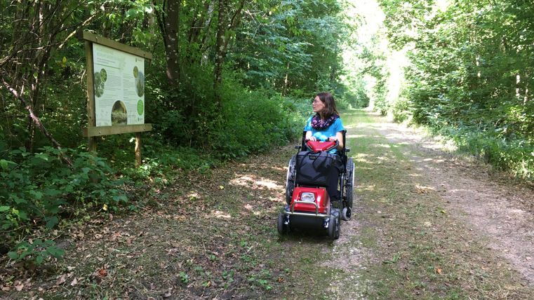 Eine Frau im Rollstuhl auf einem Waldweg neben einem Informationsschild.