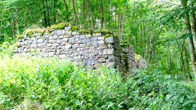 Een oude stenen muur, omgeven door dicht, groen onderhout en bomen. De natuur heeft de ruïne gedeeltelijk terugveroverd.