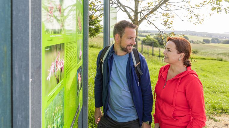 Deux personnes regardent un panneau d'information vert à l'extérieur.