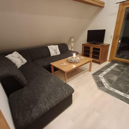Das gemütliche Wohnzimmer verfügt über ein ausziehbares Sofa für eine dritte Person.
