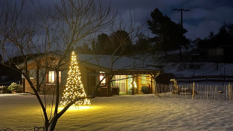 A beautifully lit house in the snow with a shining Christmas tree in front of the door. The surroundings are quiet and wintry.