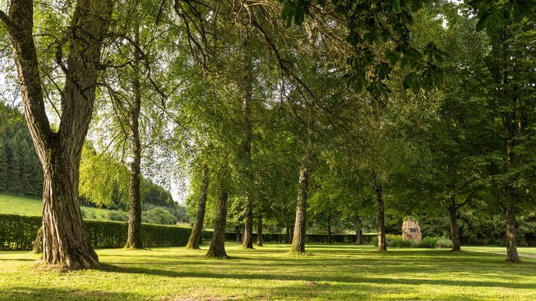 Green parkland with trees and a monument in the background.