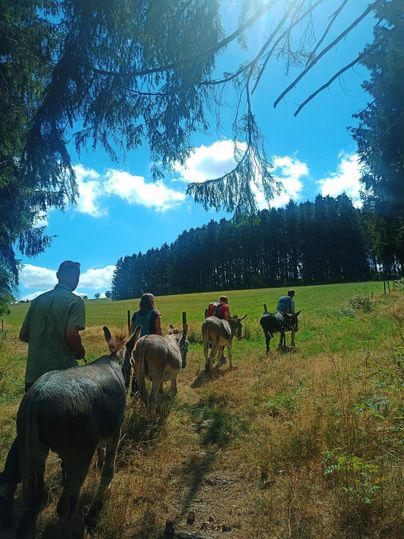 Un groupe de randonneurs avec des ânes à travers le paysage