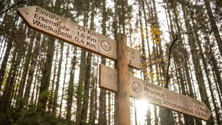 Wegweiser auf dem Wildnis-Trail