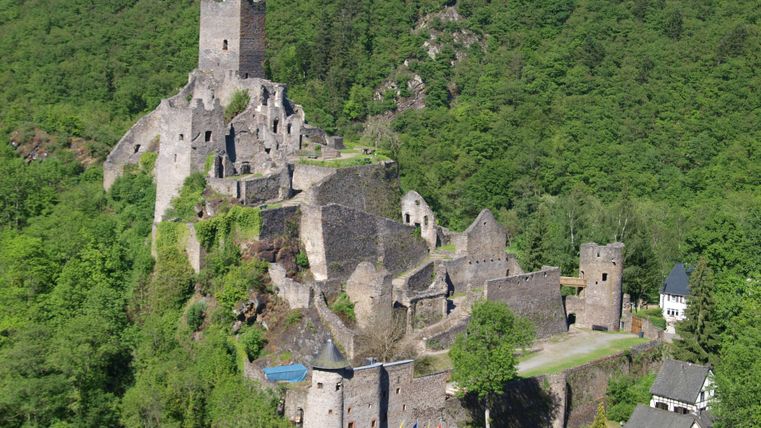Eine alte Burg auf einem Hügel, umgeben von grünen Wäldern. Die Ruinen sind gut sichtbar und bieten einen schönen Blick auf die Umgebung.