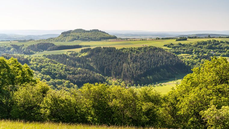 Panoramisch uitzicht op een groen heuvellandschap met bossen en velden onder een heldere hemel.
