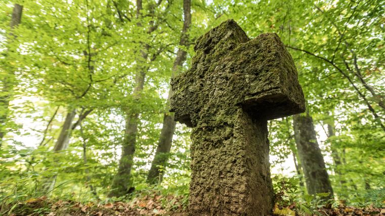Een met mos bedekt stenen kruis in het bos, omringd door groene bomen.