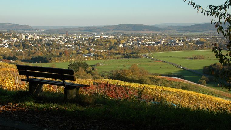 Een prachtig uitzicht op het landschap met groene velden en heuvels. Op de voorgrond staat een houten bankje dat uitnodigt om even te blijven zitten.