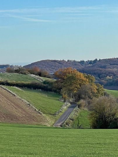 A picturesque landscape with gentle hills and a small road. Colorful trees in the foreground and a clear sky create a serene atmosphere.