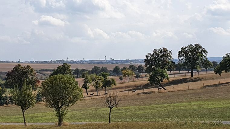 Landscape with trees and a view of Spangdahlem Air Base in the distance.