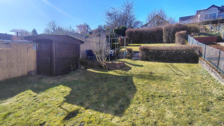 A sunny garden with short grass and a wooden shed. In the background, there are hedges and some trees visible.