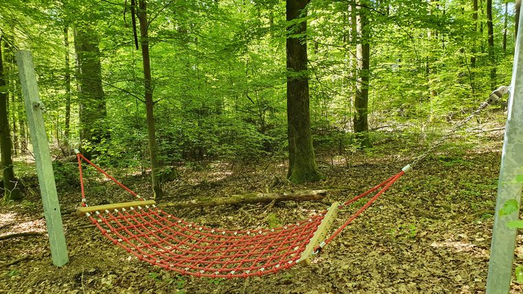 Rote Hängematte im Wald zwischen Bäumen gespannt.
