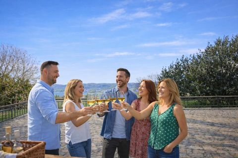 A group of five friends cheers with glasses. The scene takes place on a sunny day outdoors with beautiful views.