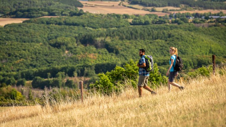 Two hikers on a hill with a view of a wooded landscape.
