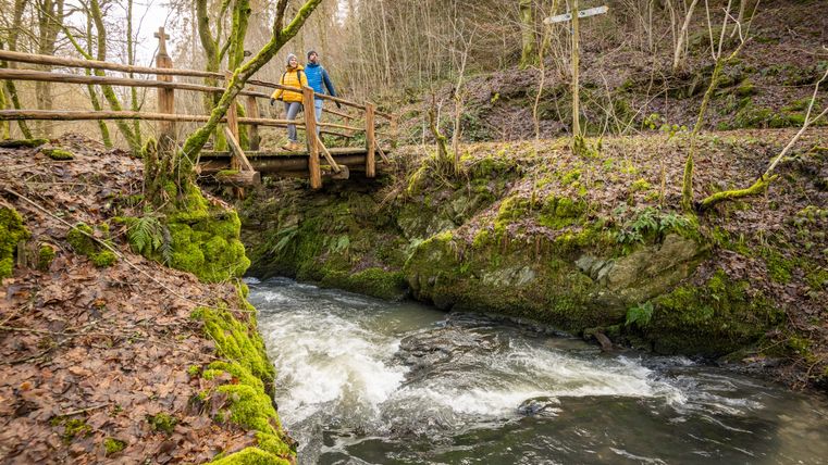 Des randonneurs sur un pont en bois au-dessus d'un ruisseau à l'écoulement rapide dans la vallée de l'Endert sauvage, entouré de forêts et de rochers couverts de mousse.