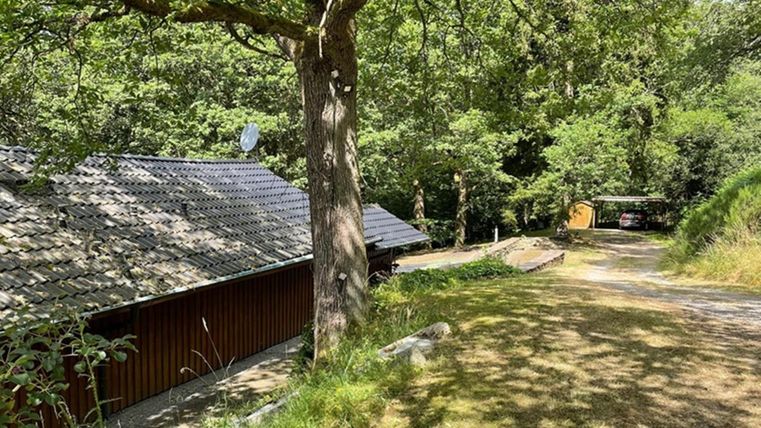 A tranquil natural landscape with a wooden house and trees. The path leads through the green terrain and it seems to be a sunny day.