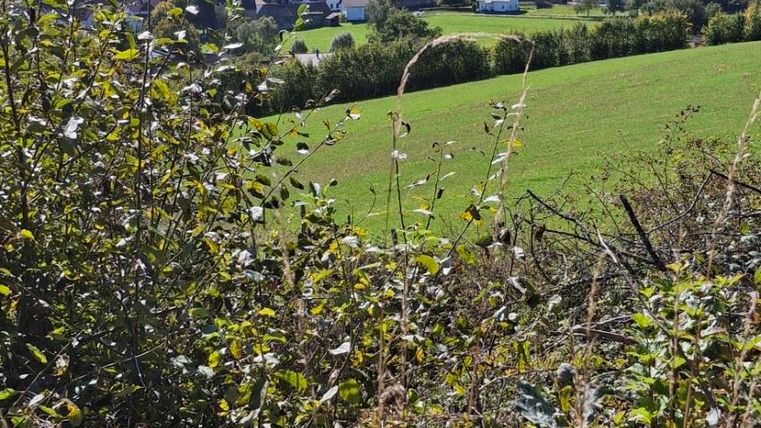 Een schilderachtig landschap met groene velden en kleine dorpen. De lucht is blauw en helder.